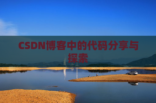 CSDN博客中的代码分享与探索